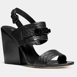 Coach Snake Embossed Leather Dennis Heel 7.5